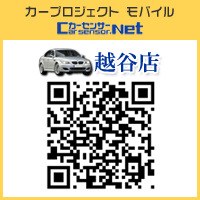 ���o�C���T�C�g