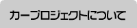 �J�[�v���W�F�N�g�ɂ���