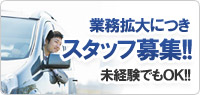 staff募集
