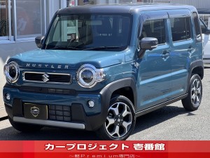 ハスラー　ハイブリッドＸターボ　４ＷＤ　純正９型ナビ　全周囲カメラ　前後ドラレコ　ＥＴＣ　フルセグＴＶ　ＣＤ　ＤＶＤ　ブルートゥース　シートヒーター　バックセンサー　アダプティブクルコン　レーンキープアシスト　フロアマット　サイドバイザー　走行２９９００Ｋm