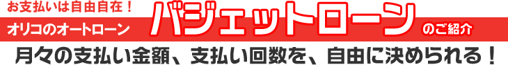 バジェットローンのご紹介