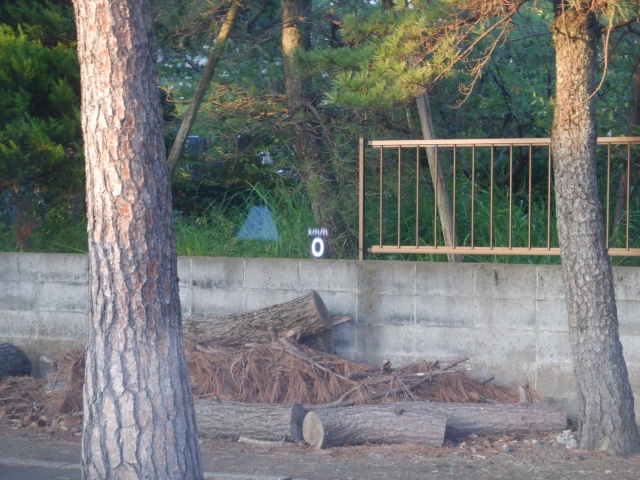 image16