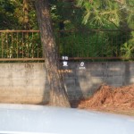 image15