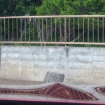image18