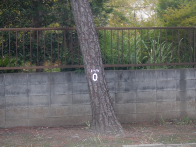 image18