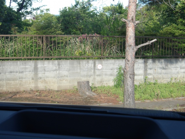image17