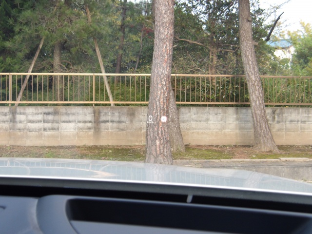 image17
