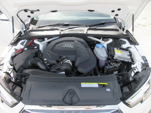 image12