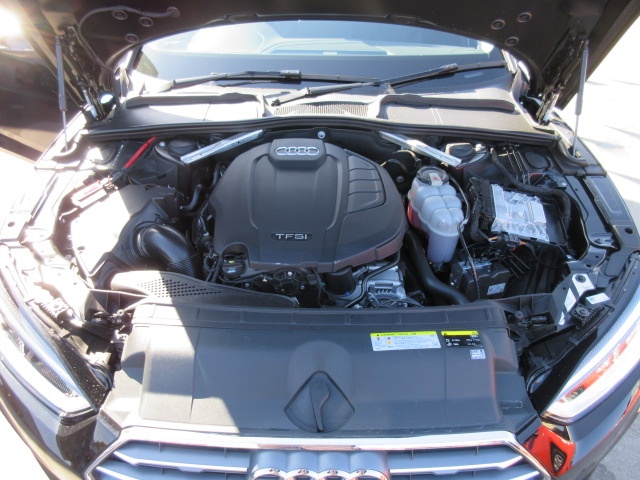 image11