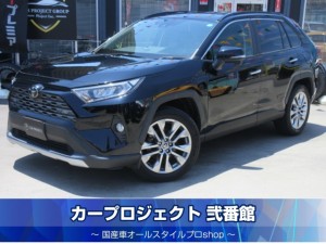 ＲＡＶ４　Ｇ－Ｚパッケージ　４ＷＤ　本革シート　シートヒーター　ステアリングヒーター　電動ゲート　純正９型ナビ　フルセグ　バックカメラ　ＥＴＣ　デジタルインナミラー　純正１９アルミ　メモリーシート　走行２４７００ｋｍ