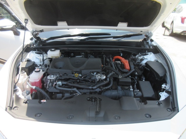 image19