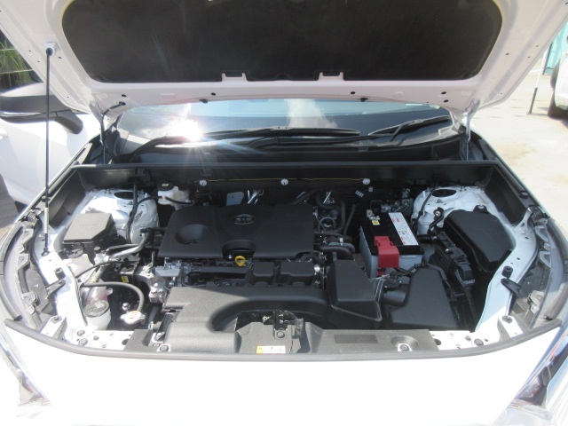 image19