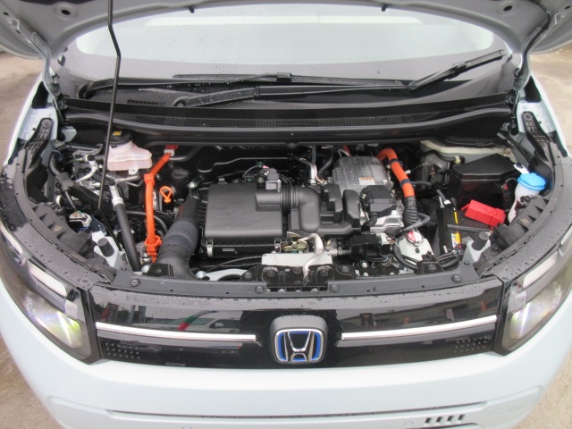 image12