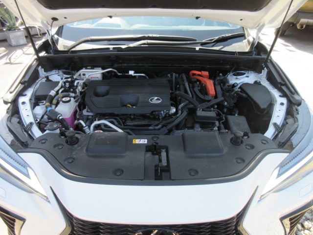 image12
