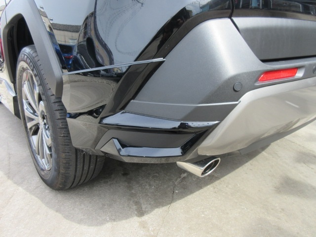 image10